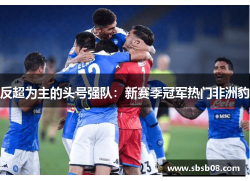 反超为主的头号强队：新赛季冠军热门非洲豹